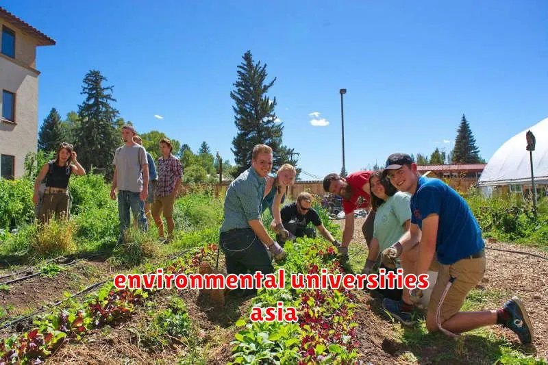 environmental universities asia