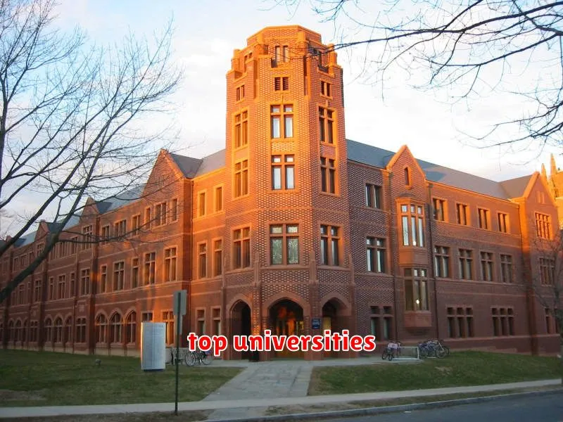 top universities